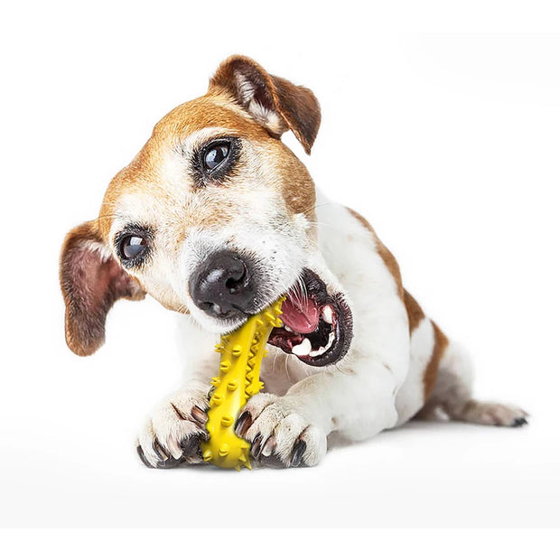 Dog Toys Squeeze Squeaky Dog Toys Dumbbell Shaped Faux Bone Pet Chew Toys